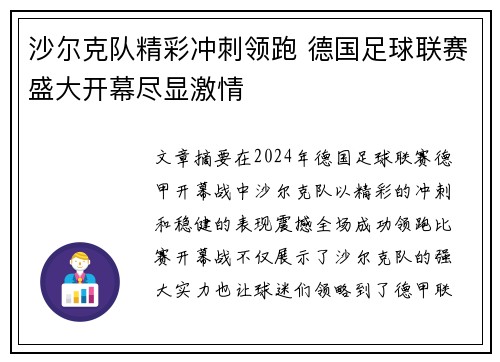 沙尔克队精彩冲刺领跑 德国足球联赛盛大开幕尽显激情